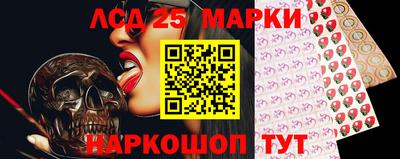 скорость Заводоуковск