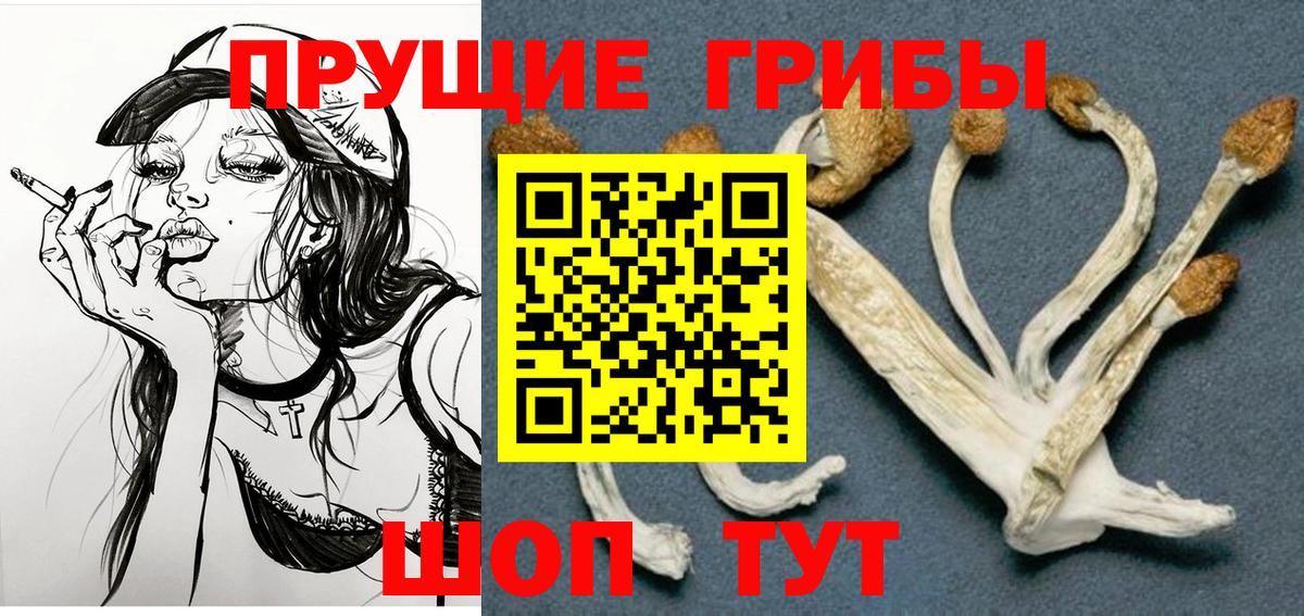 Магадан  купить   Вход с VPN  Псилоцибиновые грибы Psilocybe 